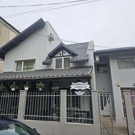 Georgiana Apartments 2 Тимишоара Екстериор снимка