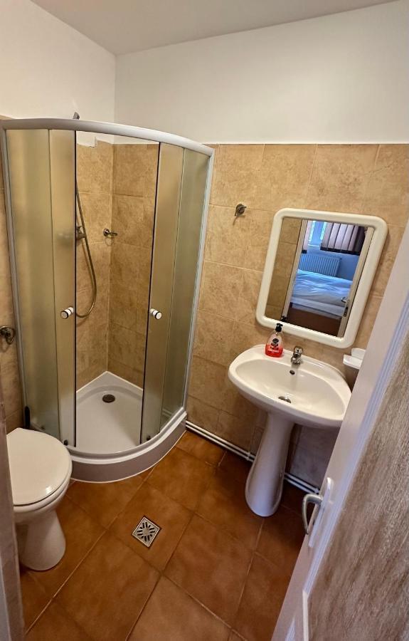 Georgiana Apartments 2 Тимишоара Екстериор снимка