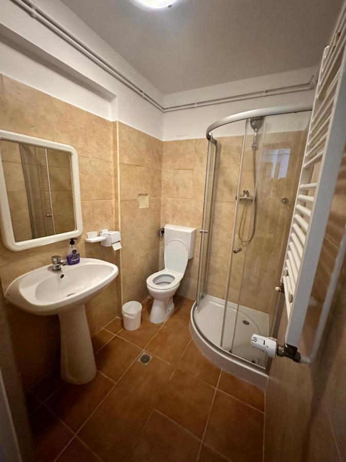 Georgiana Apartments 2 Тимишоара Екстериор снимка